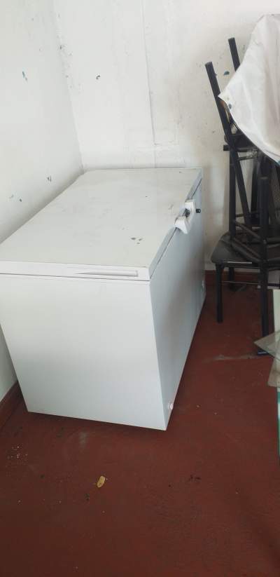 Freezer 316L - Kitchen appliances