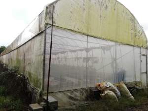 greenhouses for sale / serres à vendre  - Land on Aster Vender