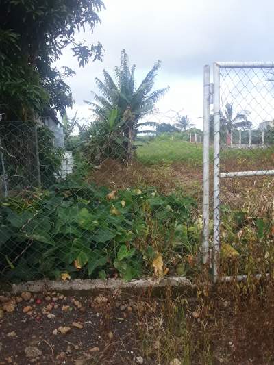 Land - Land on Aster Vender