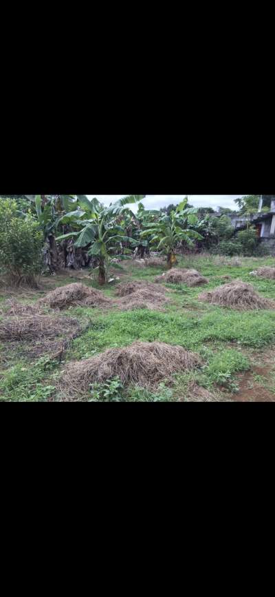 Residential land for sale in Petit Bel Air - Land