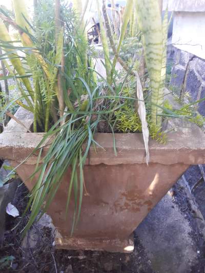 5 Grand pots en beton - Others on Aster Vender