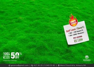 50% OFF - GOLF LAWN - Plants and Trees on Aster Vender