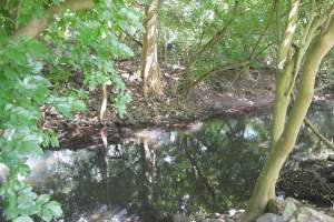 For sale residential land of 2606m2 at the entrance of the Black River - Land on Aster Vender