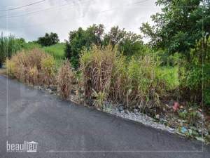 15 Perches residential land in Melrose - Land on Aster Vender