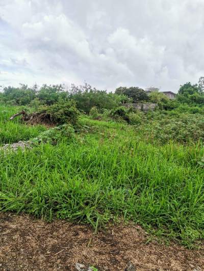 CHEMIN MELVILLE, MAMZELLE JEANNE, GOODLANDS TERRAIN A VENDRE - Land on Aster Vender