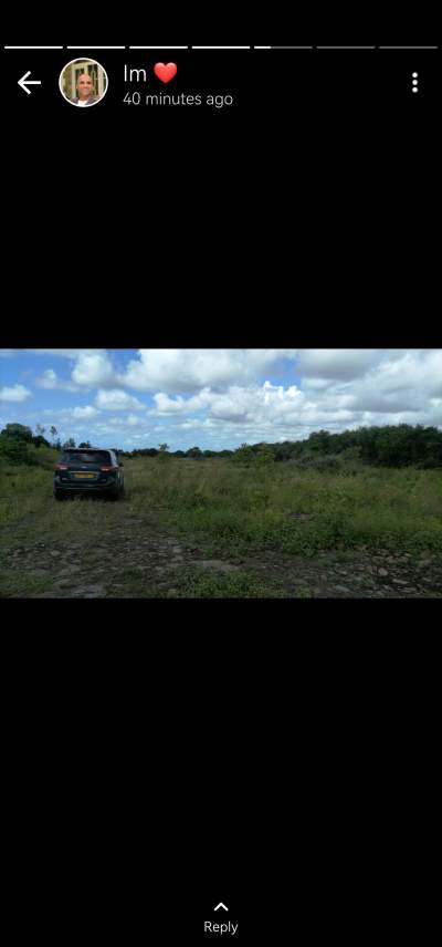 Land - Land on Aster Vender