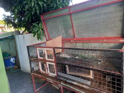 Cage pour lapins, hamsters  etc. - Others