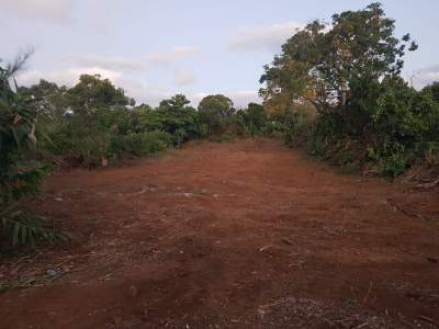 16 PERCHES IN HENRIETTA - Land on Aster Vender