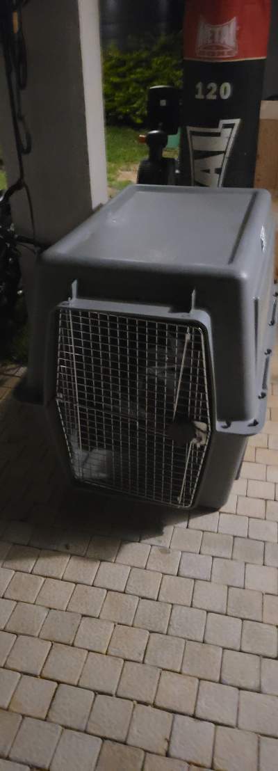 Vends cage xxxl transport aerien gros chien - Pets supplies & accessories