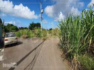 Two residential lands of 7 perches each are for sale in Bel Air, Flacq - Land on Aster Vender