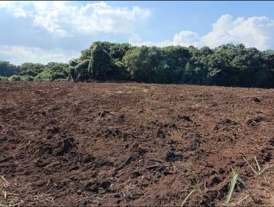 Agricultural Land - Land on Aster Vender