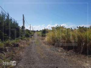 1 A 22 Ps Residential land, St Antoine- Goodlands - Land on Aster Vender