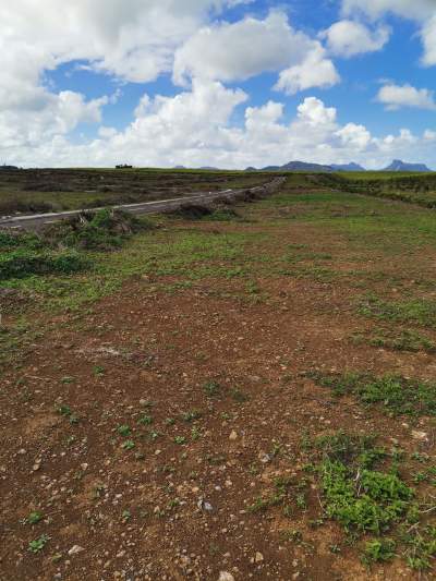 Morc Greenview, plot of 393.8 m2/9.33 perches Rs 2.69M - Land