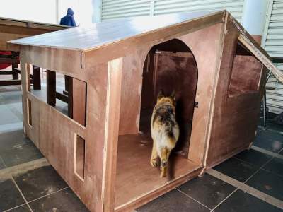 Dog Kennel/ Shelter - Dogs on Aster Vender