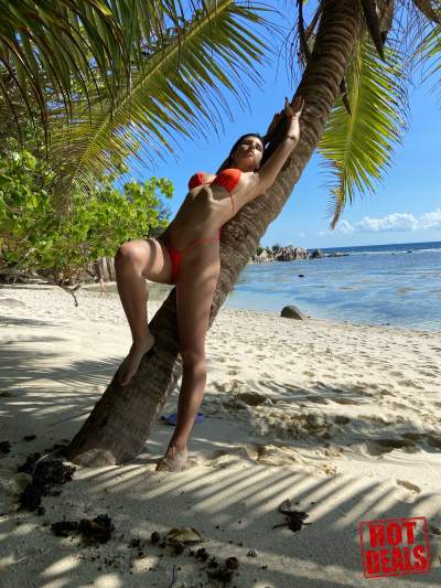 Beach Bikini - Thong Style - Sexy Lingeries (Women) on Aster Vender