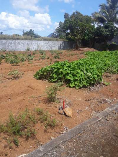 39 / 12 PERCHES IN  LA MARIE - Land