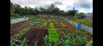 Land for sale at camp de masque - Land