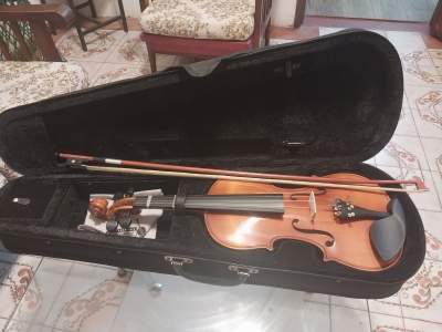 Violon - Violin