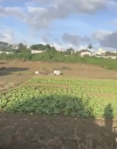 Land for sale in Carreau Laliane Vacoas Phoenix - Land