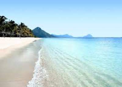 14 PERCHES RUISSEAU PALMYRE FLIC EN FLAC - Land on Aster Vender