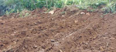 AGRICULTURAL LAND ON MOUNTAIN SIDE AT SEBASTOPOL - Land