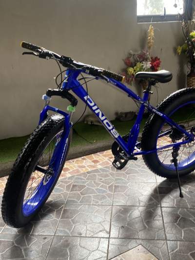 Fat Bike Dinos - Mountain bicycles on Aster Vender