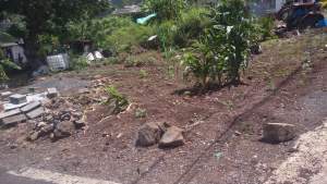 Residential Land - Land on Aster Vender