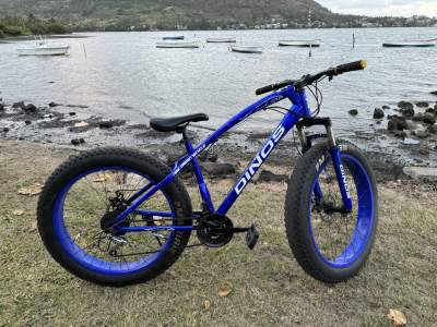 Dinos Fat Bike - Mountain bicycles on Aster Vender