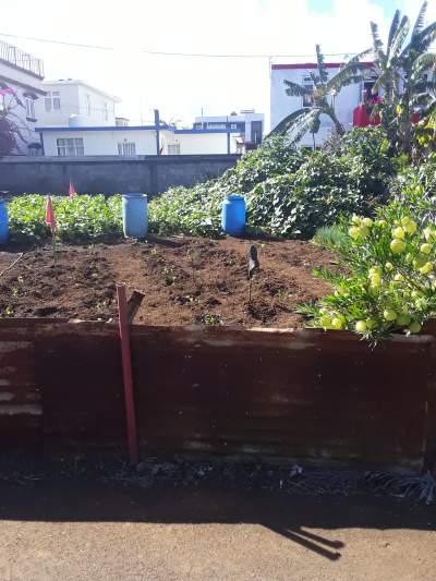 5 PERCHES SOLFERINO NO 3 VACOAS - Land on Aster Vender