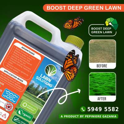 LAWN SOLUTION 5L PROMO SALES!!! - Garden Decorations on Aster Vender