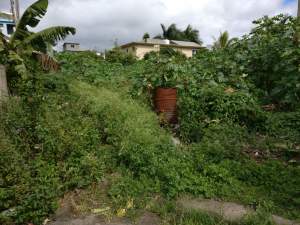 Land for sale in Quatre Bornes - Land on Aster Vender