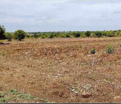Agricultural land for sale - Land on Aster Vender