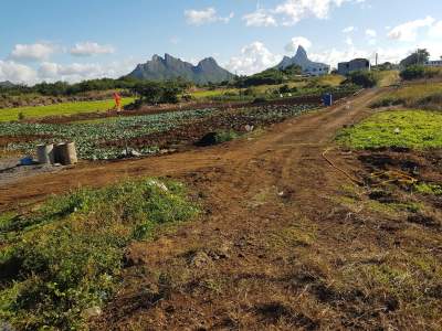 8 perches Solferino no 5 Vacoas - Land on Aster Vender