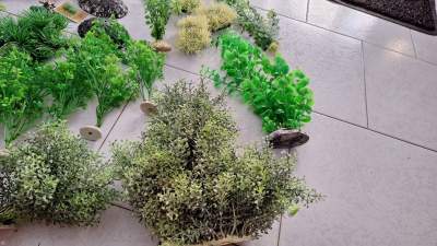 Aquarium items - Aquarium plants