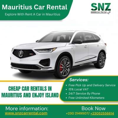 Car Rental in Mauritius – Explore the Island at Your Own Pace - Other services