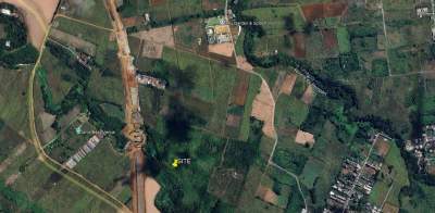 Terrain Agricole Holyrood Vacoas - Land