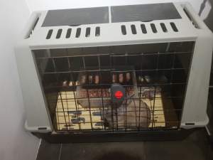 cage pour le chien ou autres animaux - Pets supplies & accessories on Aster Vender