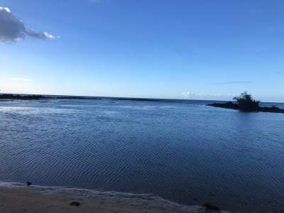 Beau vallon cote verger terrain a vendre - Land