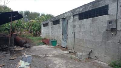 Ferme Porcine - Land