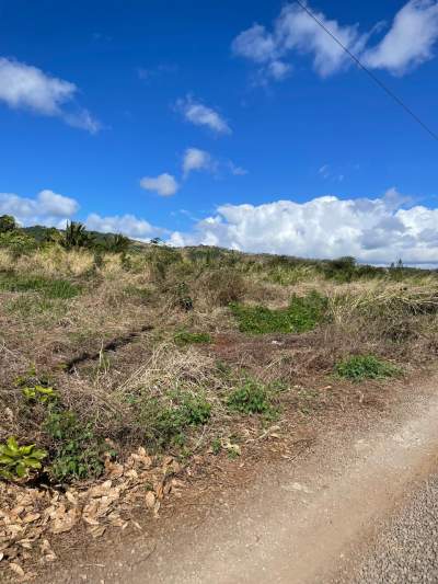 Land for sale - House