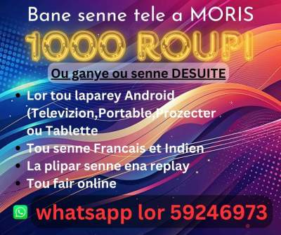 IPTV...as from RS.1000. Whatsapp on 59246973 - Other services