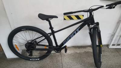 Giant Talon 29 4 Bike for Sale (Never used) - Mountain bicycles