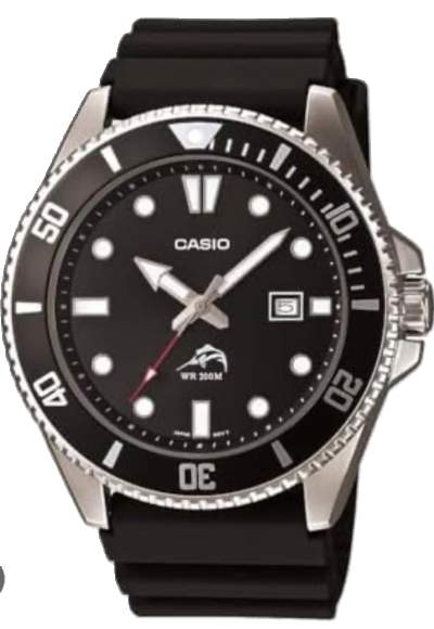 Casio (Black) - Watches
