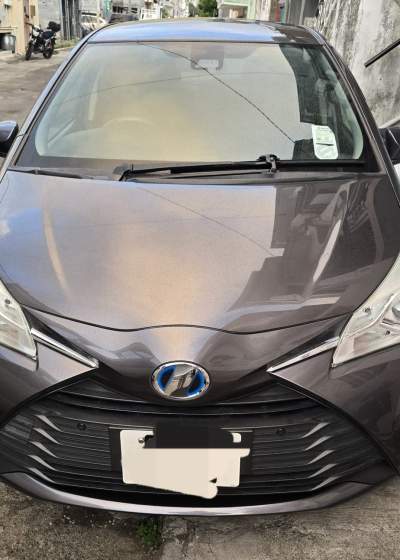 Toyota Vitz Hybrid (2019) - Compact cars