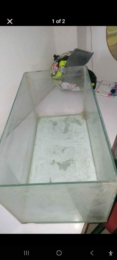 Aquatium -  Aquarium fish