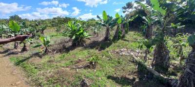 Terrain Agricole - Pont Bondieu - Land