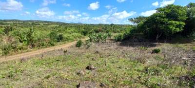 Terrain Agricole - 50 Perch - Land