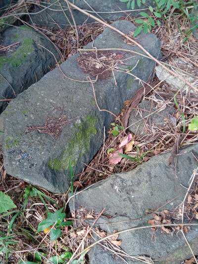 8 Roches de 1950 à Vacoas - Others on Aster Vender