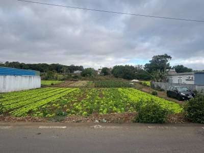 15 perches Main Road Carreau Lalliane - Land on Aster Vender