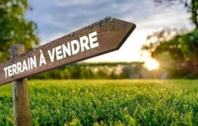 Terrain Agricole Triolet - Land